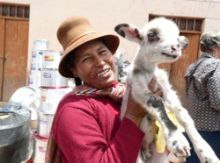 Magical Mystery Tour to Puno