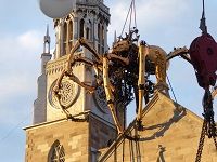 Spiders and Dragons, Oh My