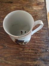 India Tofu and the Teacup of Doom