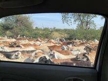 Random Thoughts Leaving India