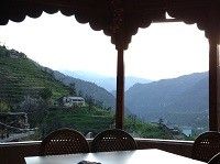 Monkeys welcome you to Rishikesh