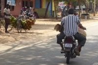 Indian Ingenuity